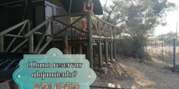 Cómo reservar alojamiento en Kruger